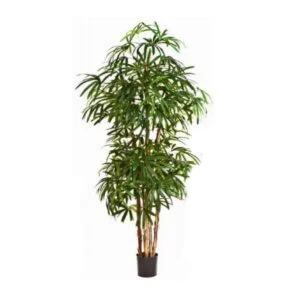 Raphis Palm artificial – Belleza japandi - Varias medidas