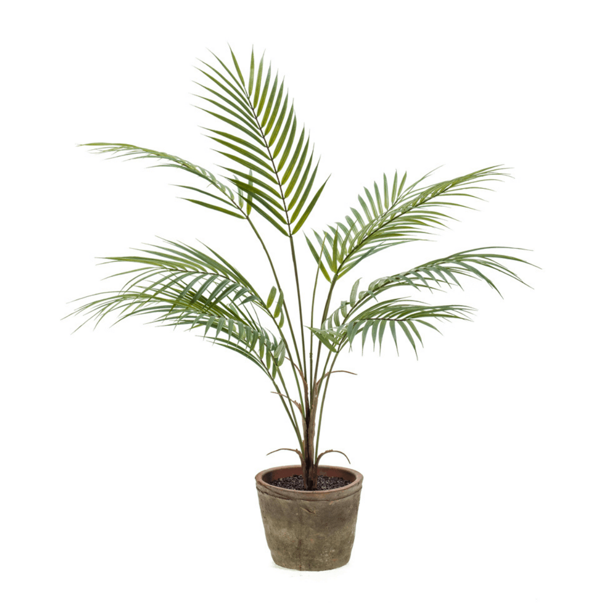 small artificial palm tree