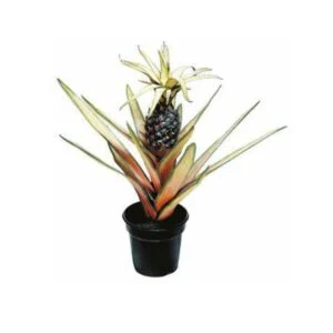 Pineapple artificial - Consigue un toque tropical