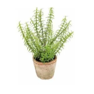 Romero vintage pot - Planta artificial realista