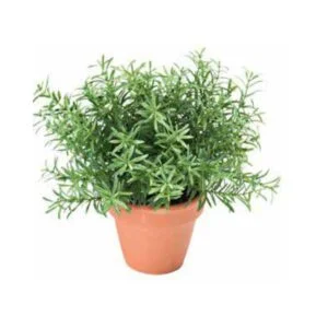 Rosemary pot - Romero artificial 20 cm