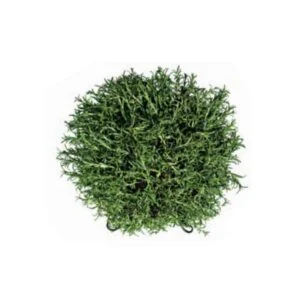 Rosemary Ball artificial – Deco trendy para tu hogar