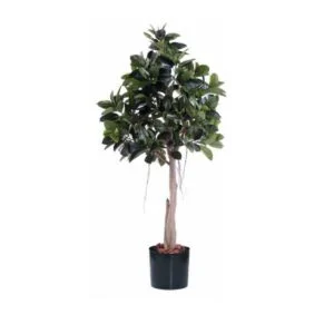 Ficus rubbert - Precioso ficus artificial de calidad - 220cm