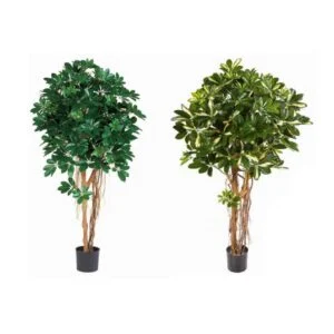 Schefflera artificial – Tronco espectacular - 2 colores