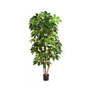 Schefflera artificial - Belleza en cualquier estancia