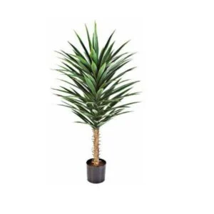Yucca artifical - Una planta que se tomará el protagonismo