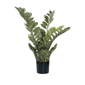 Zamia - Planta artificial, elegancia y calidad