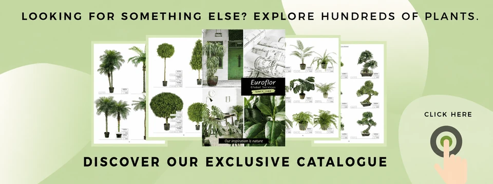 Euroflor Shop artificial plants catalog