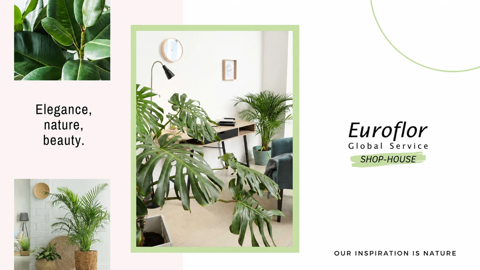 shop house euroflor