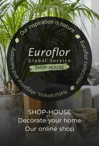 Euroflor Shop-House: decorate your home through our online shop